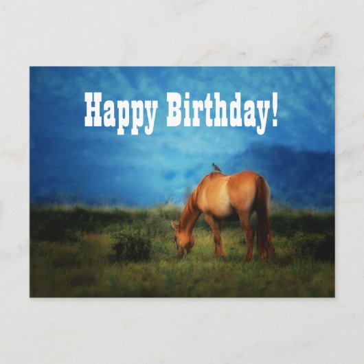 Paardenbedrijf of Vet-Kantoor van groep Birthday Briefkaart (Voorkant)