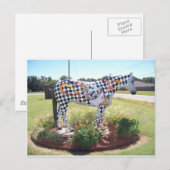 Paardenbeeld Briefkaart (Voorkant / Achterkant)