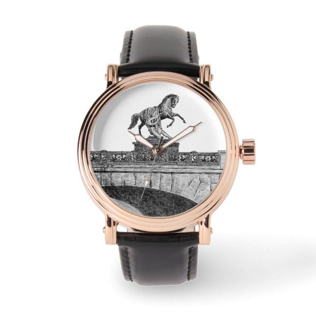  paardenbeeldhouwkunst op de brug Anichkov Horloge (Voorkant)