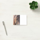 Paardenbericht Post-it® Notes (Kantoor)