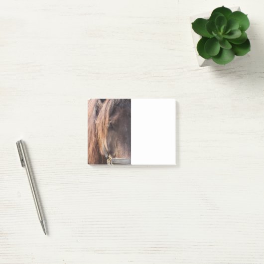 Paardenbericht Post-it® Notes (Kantoor)