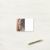 Paardenbericht Post-it® Notes (Op bureau)