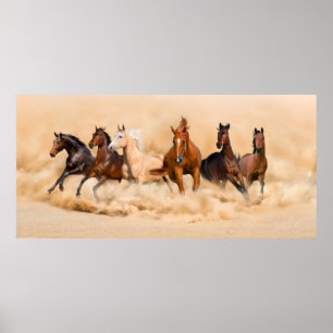 Paardenbeslag in woestijn en storm poster