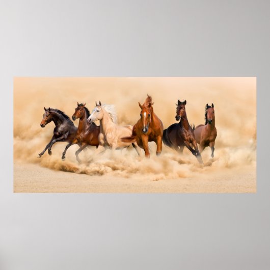 Paardenbeslag in woestijn en storm poster (Voorkant)