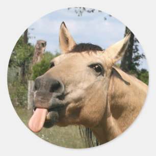 paardenbessensticker ronde sticker