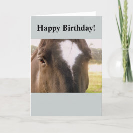 Paardenbetaalkaart Kaart