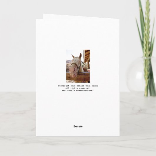 Paardenbetaalkaart Kaart (Achterkant)