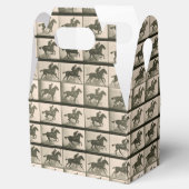 Paardenbeweging  fotografie bedankdoosjes (Geopend)