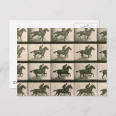 Paardenbeweging  fotografie briefkaart (Voorkant / Achterkant)