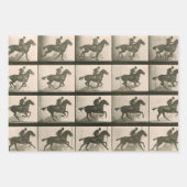 Paardenbeweging  fotografie inpakpapier vel (Voorkant)