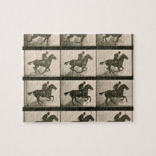 Paardenbeweging  fotografie legpuzzel