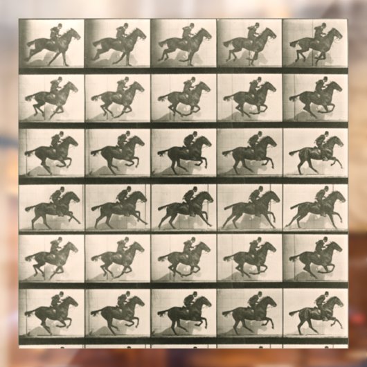 Paardenbeweging  fotografie raamsticker (Vel 2)