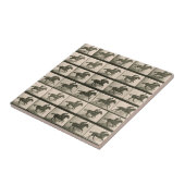 Paardenbeweging  fotografie tegeltje (Zijkant)