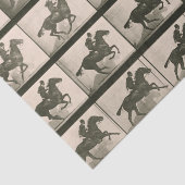 Paardenbeweging  fotografie tissuepapier (Detail)