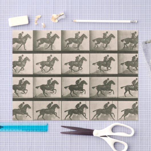 Paardenbeweging fotografie tissuepapier (Craft)