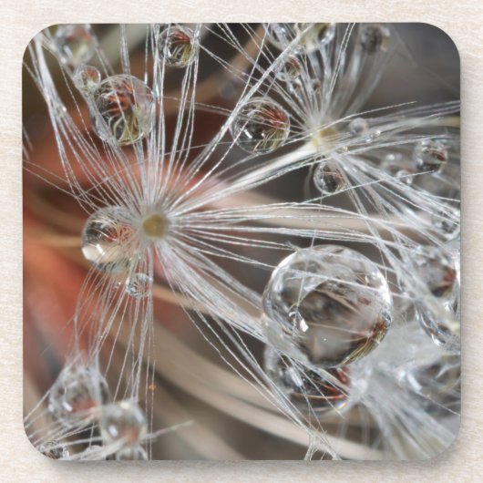 Paardenbloem Abstract Bier Onderzetter (Voorkant)