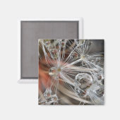 Paardenbloem Abstract Magneet (Voorkant / Achterkant)