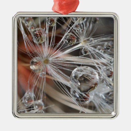 Paardenbloem Abstract Metalen Ornament (Voorkant)
