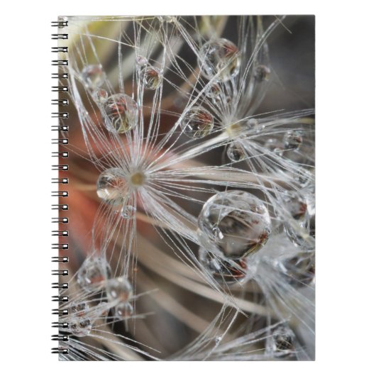Paardenbloem Abstract Notitieboek (Voorkant)