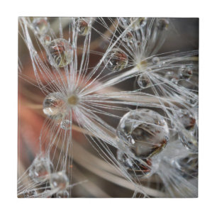 Paardenbloem Abstract Tegeltje