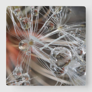 Paardenbloem Abstract Vierkante Klok