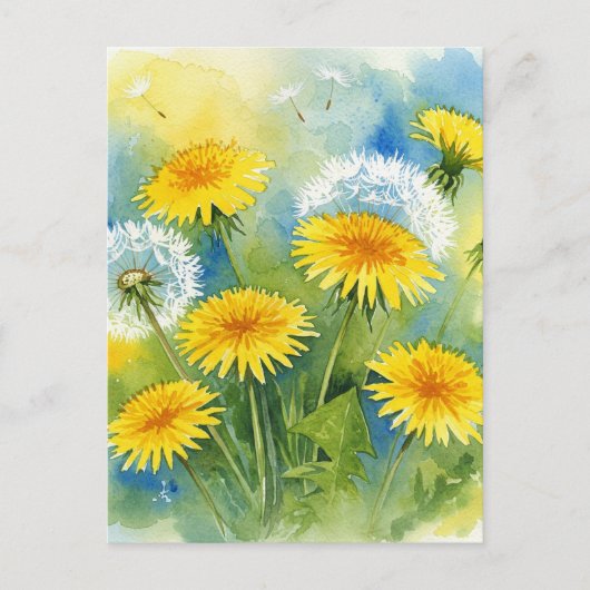 Paardenbloem Ansichtkaart Briefkaart (Voorkant)
