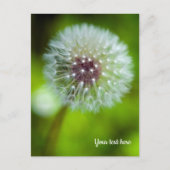 Paardenbloem Ansichtkaart Briefkaart (Voorkant)