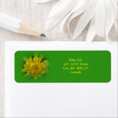 Paardenbloem bloem, groene labels (Insitu)
