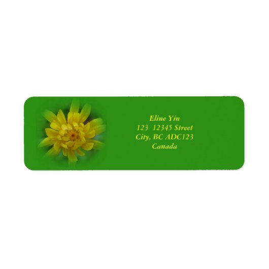 Paardenbloem bloem, groene labels (Voorkant)