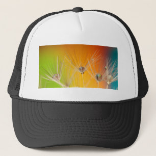 Paardenbloem Bloemen Bloesem Bestemming Vrede Lief Trucker Pet