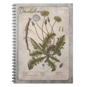 paardenbloem botanische illustratie notitieboek