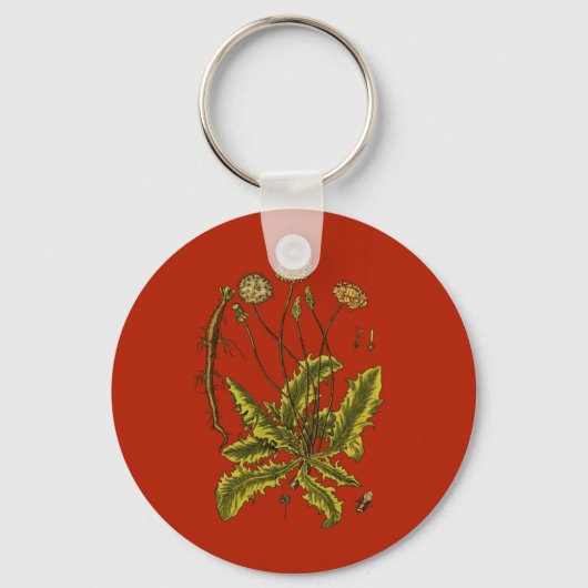 Paardenbloem Botanische Illustratie Sleutelhanger (Voorkant)
