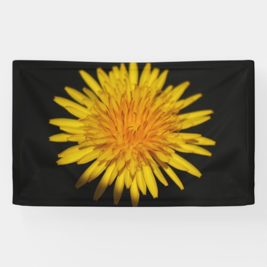 Paardenbloem Brecht Spandoek (Horizontaal)