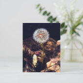 Paardenbloem Briefkaart (Staand voorkant)