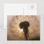 Paardenbloem Briefkaart (Voorkant / Achterkant)