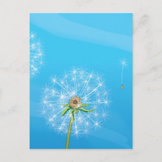 Paardenbloem Briefkaart (Voorkant)