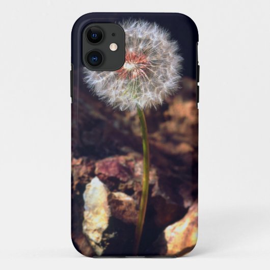 Paardenbloem Case-Mate iPhone Case (Achterkant)