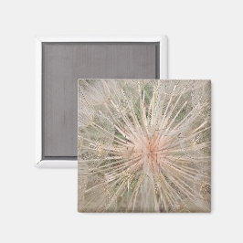 Paardenbloem Close Up Magnet