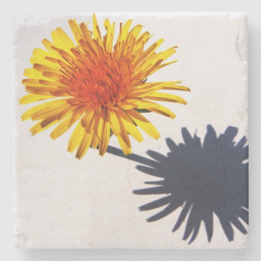 Paardenbloem en Schaduw coastercan Stenen Onderzetter (Voorkant)