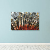 Paardenbloem en waterdruppels, CA Canvas Afdruk (Insitu (Houten vloer))