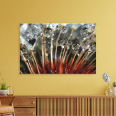 Paardenbloem en waterdruppels, CA Canvas Afdruk (Insitu (Woonkamer))
