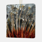 Paardenbloem en waterdruppels, CA Keramisch Ornament (Links)