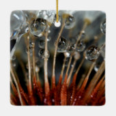 Paardenbloem en waterdruppels, CA Keramisch Ornament (Achterkant)