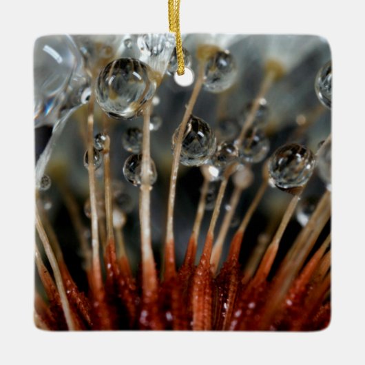 Paardenbloem en waterdruppels, CA Keramisch Ornament (Voorkant)