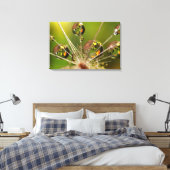 Paardenbloem En Waterdruppels Canvas Afdruk (Insitu (Slaapkamer))