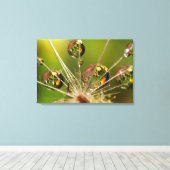 Paardenbloem En Waterdruppels Canvas Afdruk (Insitu (Houten vloer))