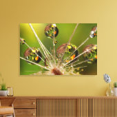 Paardenbloem En Waterdruppels Canvas Afdruk (Insitu (Woonkamer))