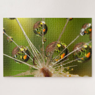 Paardenbloem en waterdruppels legpuzzel