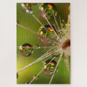 Paardenbloem en waterdruppels legpuzzel (Verticaal)