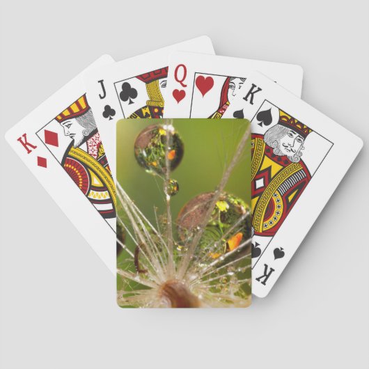Paardenbloem en waterdruppels pokerkaarten (Achterkant)